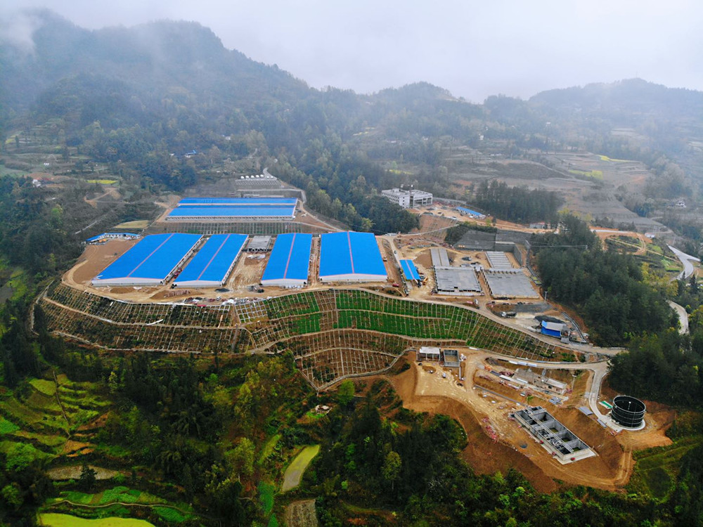 農業(yè)農村部辦公廳 財政部辦公廳 銀保監會(huì )辦公廳關(guān)于開(kāi)展病死豬無(wú)害化處理與保險聯(lián)動(dòng)機制建設試點(diǎn)工作的通知